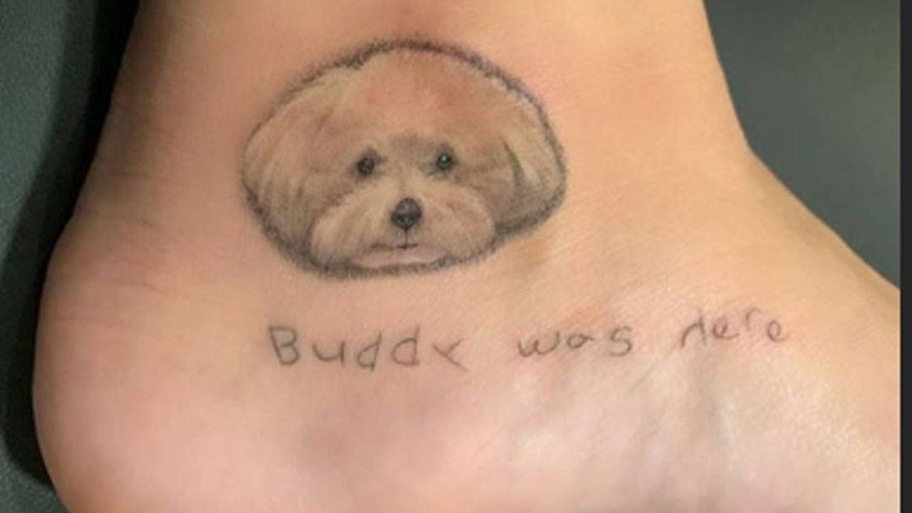 Demi Lovato’s Buddy memorial tattoo: a portrait of her dog with Buddy was here lettering