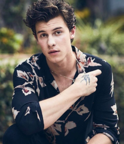 Shawn Mendes lets his tattoos tell the story