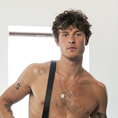 Shawn Mendes lightbulb tattoo on the arm