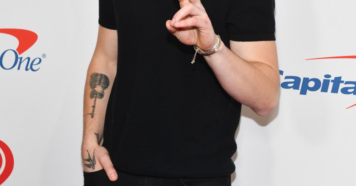Shawn Mendes sparrow tattoo on the hand