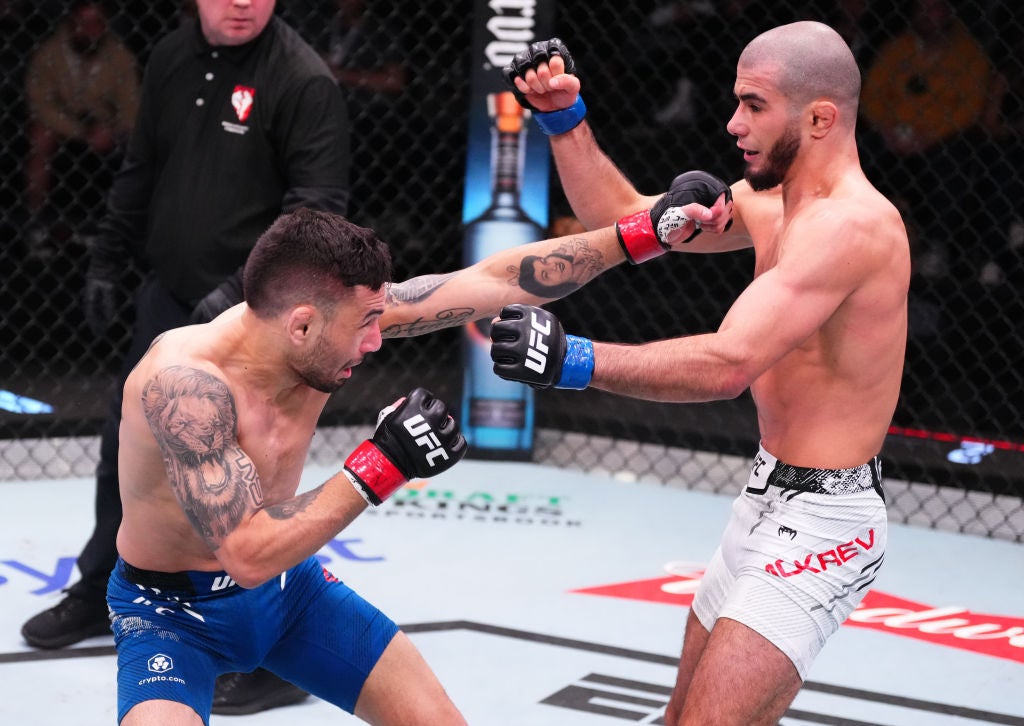 Alex Perez The lion on his right upper arm Alex Perez tattoos: The lion on his right upper arm