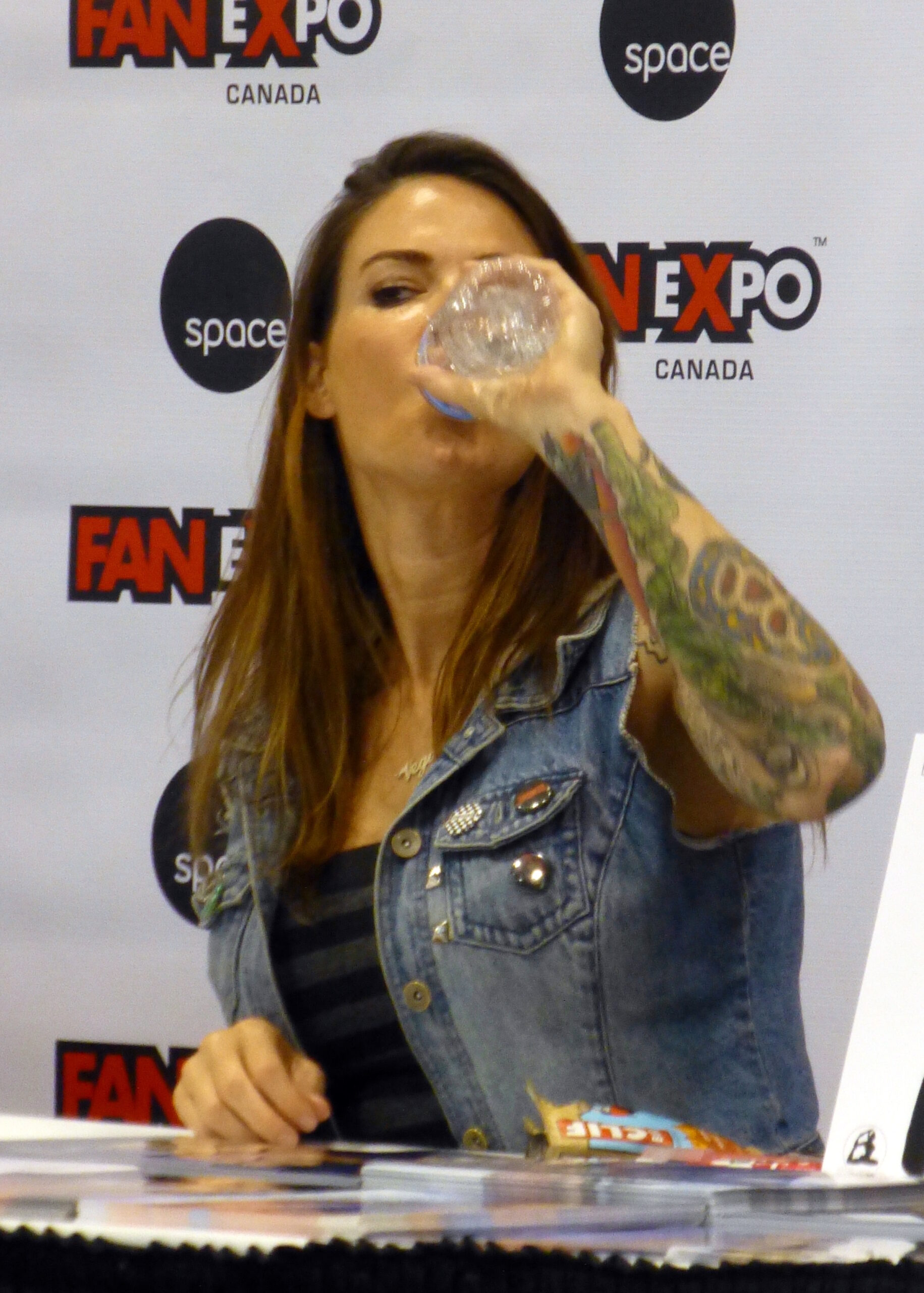 Amy Dumas Full Arm Tattoo Layout