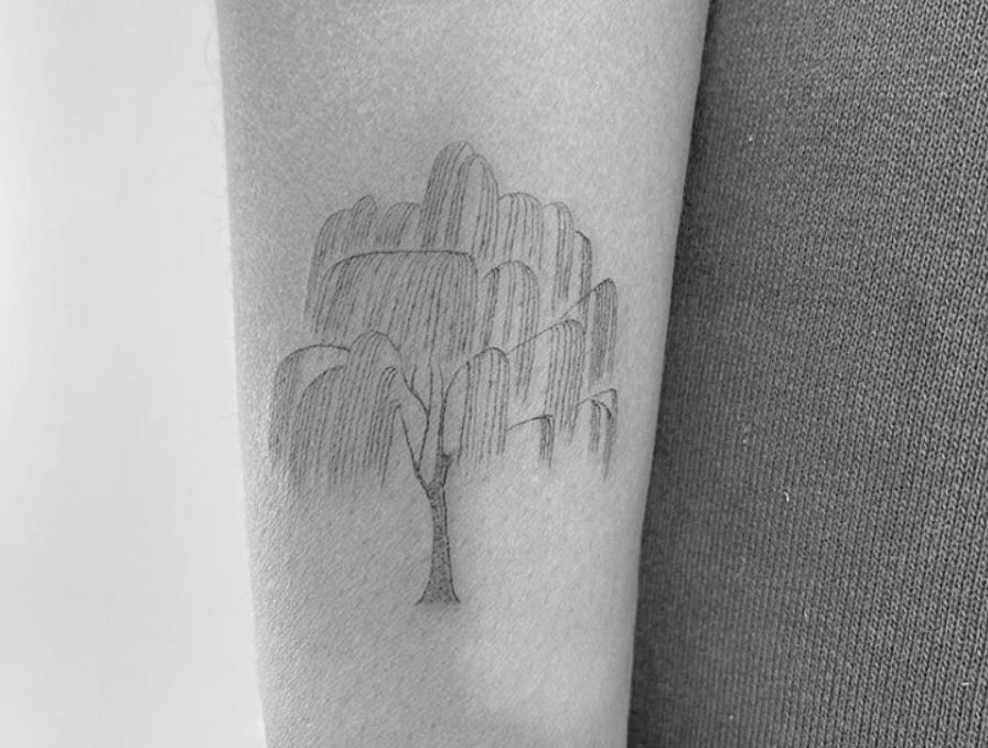 Ayesha Curry tattoos: close-up willow tree linework