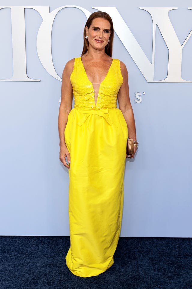 Brooke Shields in a contextual photograph: inline; not tattoo evidence