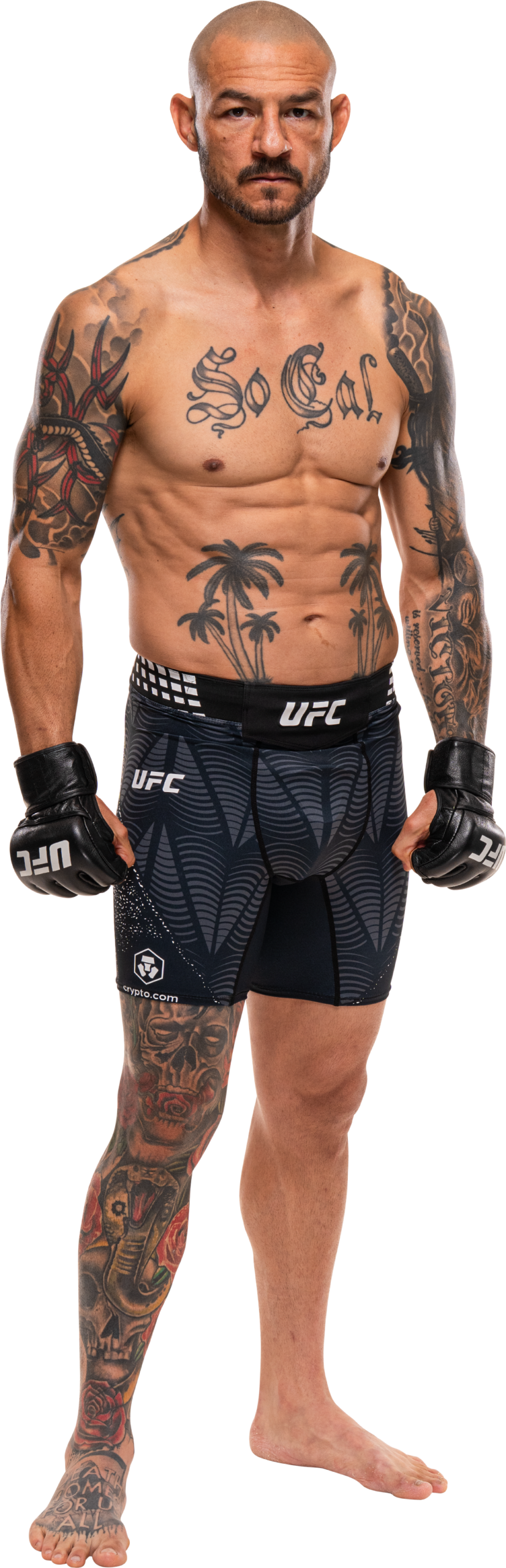 Cub Swanson tattoos: inline