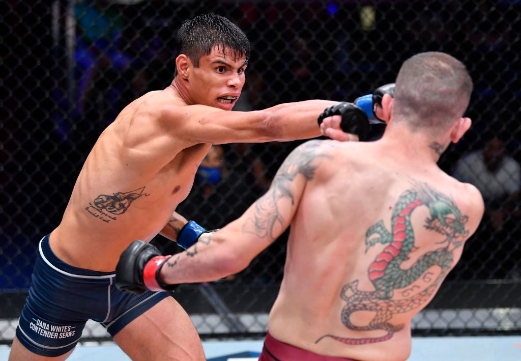 Daniel Zellhuber in a contextual photograph: Career context: the Contender Series; not tattoo evidence