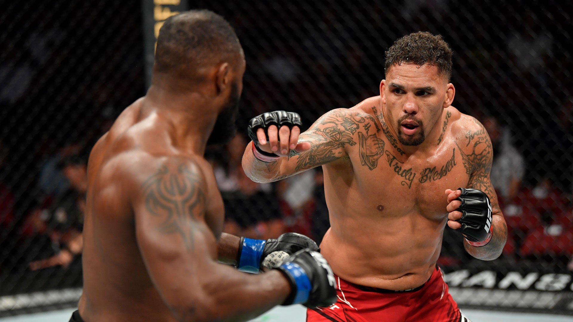 Eryk Anders The Truly Blessed chest tattoo Eryk Anders tattoos: The Truly Blessed chest tattoo