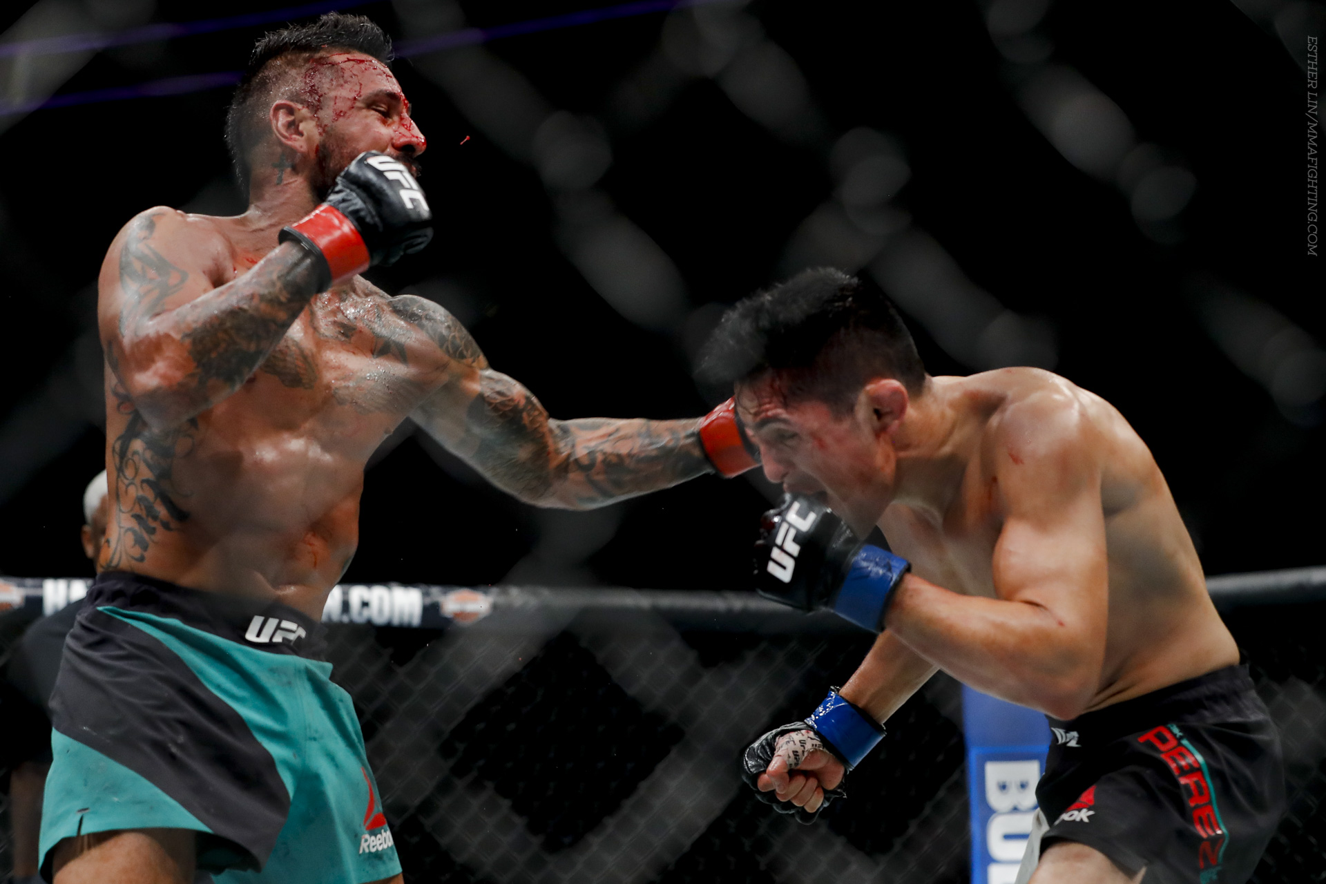 Francisco Rivera tattoos: The cross below his ear Francisco Rivera tattoos: The cross below his ear
