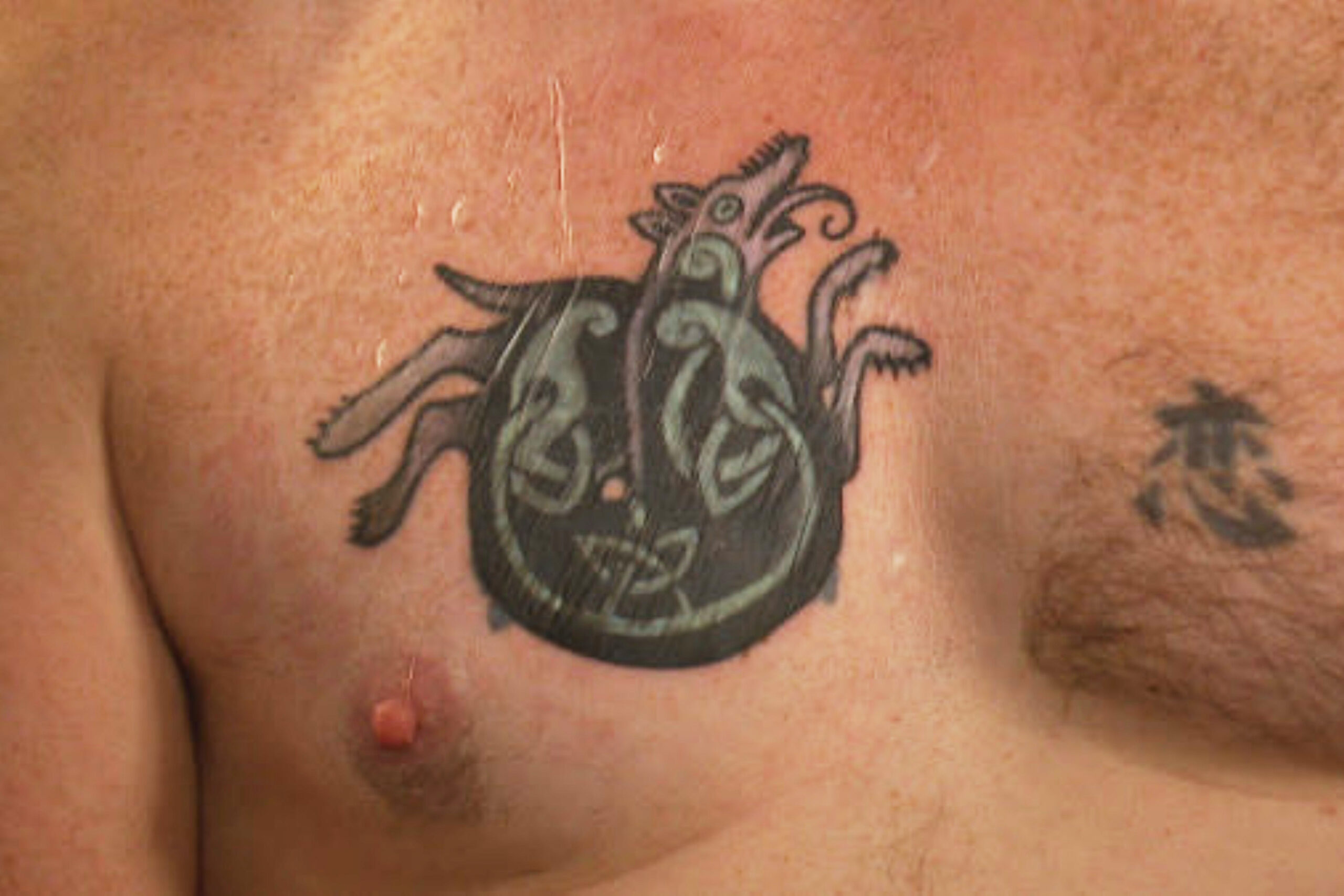 Graham Platner tattoo evidence: original chest tattoo close-up.