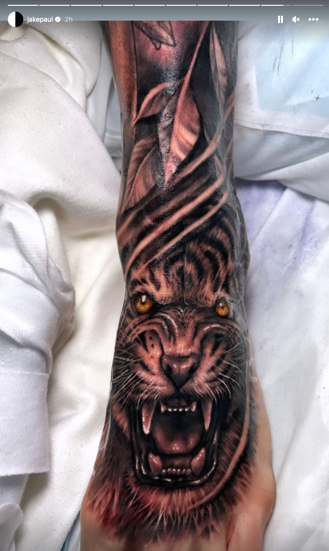 Jake Paul tattoos: Newer collection, animal imagery and contrast between large and small pieces