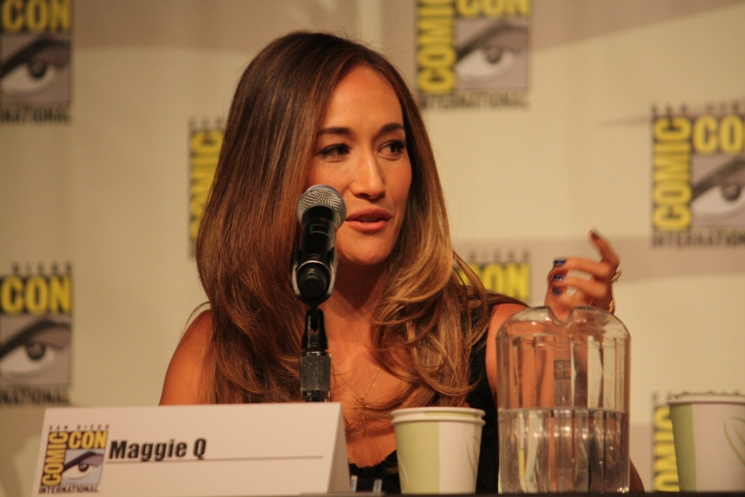 Maggie Q contextual panel portrait Maggie Q in a contextual photograph: contextual career portrait; not tattoo evidence; not tattoo evidence