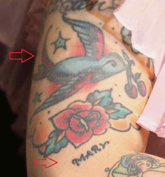 Mon Laferte tattoos: genuine tattoo photograph showing the bird, rose and Mary lettering