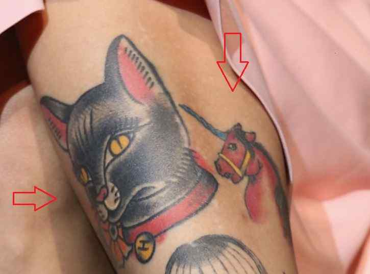 Mon Laferte tattoos: genuine tattoo photograph showing the cat and unicorn design