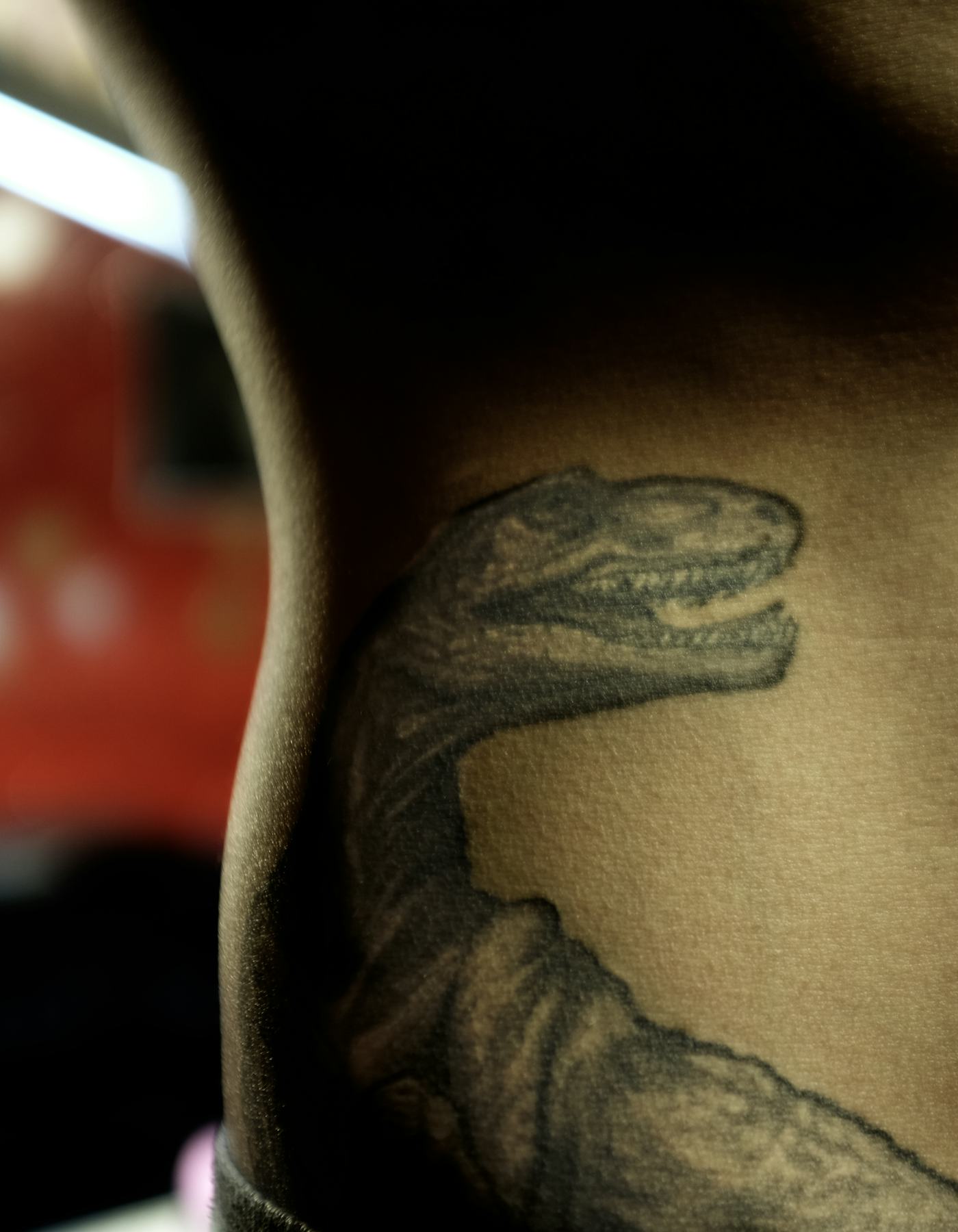 Noma Han tattoos: Close tattoo detail from Noma Han's mixed forearm and sleeve work