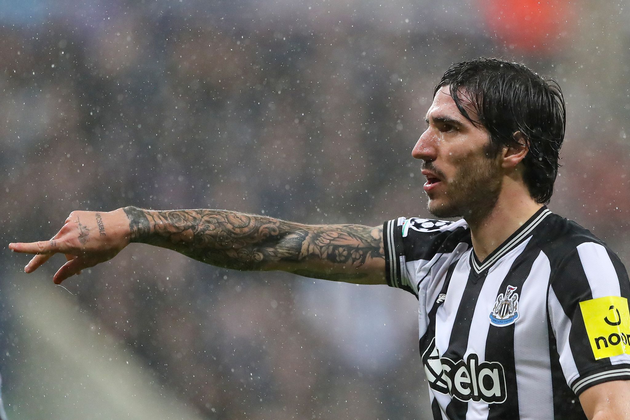 Sandro Tonali tattoos: hand lettering and tattooed sleeve during a Newcastle match