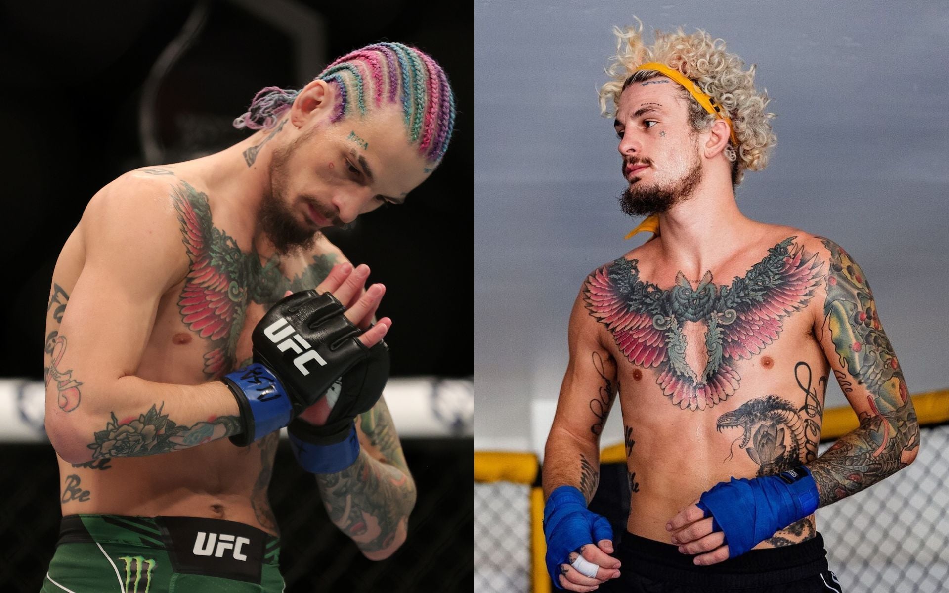 Sean O'Malley showing his rose and sleeve tattoos