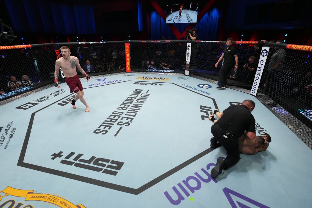 Tom Nolan Career context: the Contender Series breakthrough Tom Nolan in a contextual photograph: Career context: the Contender Series breakthrough; not tattoo evidence